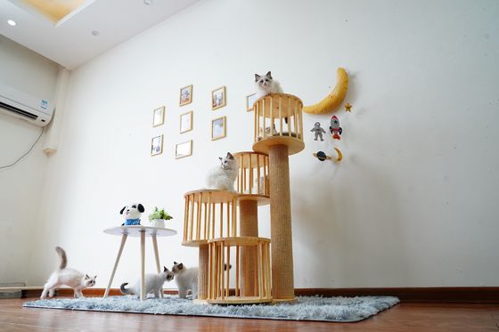 耐久の家の子ネコ猫のポストの負傷を用いる上昇の木タワーのコンドミニアム