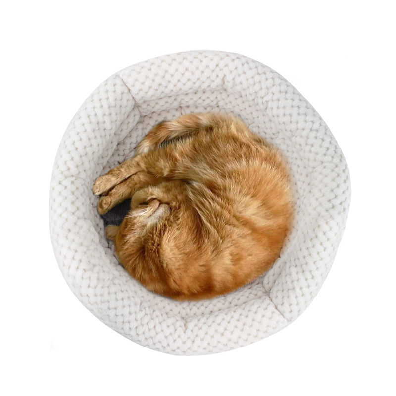 2021卸し売り抱擁のコップの形猫および犬のベッド ペットは熟睡洗濯できるペット家のための高い塀によって寝かせる