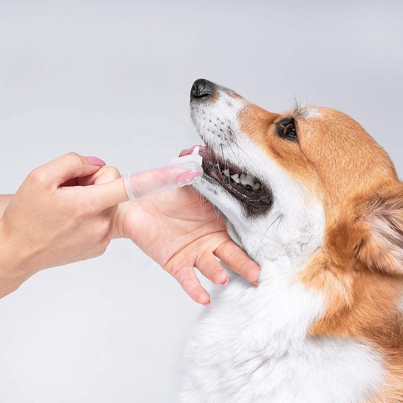剛毛のシリコーン犬犬の口頭心配指ペット歯ブラシをきれいにするクリーニング用具の歯