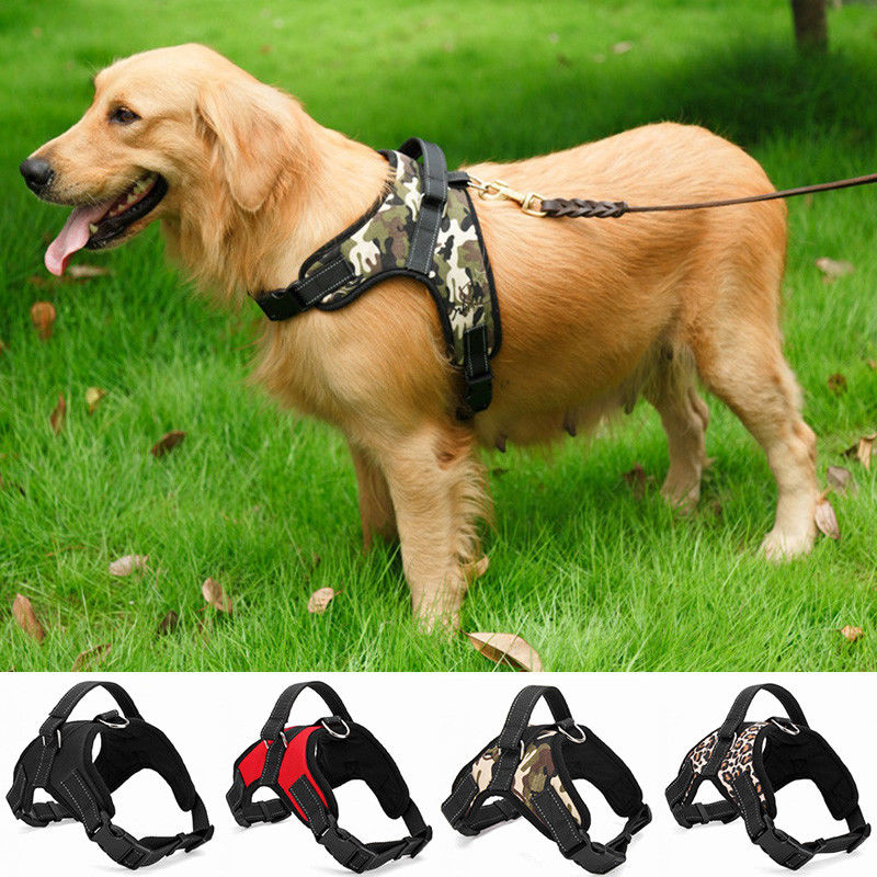 オックスフォードの網のキャンバス通気性の調節可能なパッドを入れられた犬の馬具のベストの飼い犬のサドルの箱の革紐引きペットつば無し