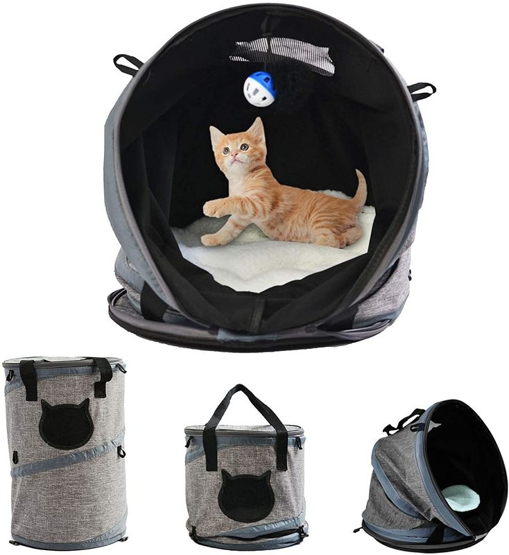 羊毛のマットが付いている1つの猫袋のキャリアのバックパックに付き3つ
