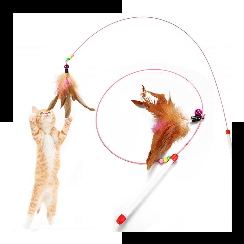Hallupets猫ペットは猫の羽のティーザー細い棒をもてあそぶ