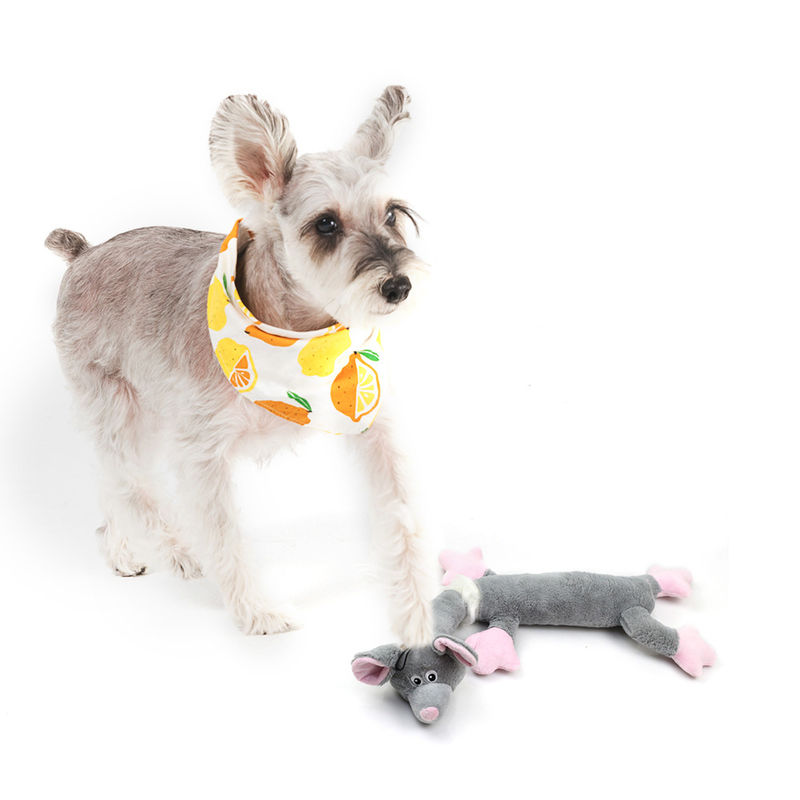 かみ傷の抵抗力がある動物は犬がピカピカの耐久の咀嚼のおもちゃをもてあそぶPlushおかしい猫を形づける