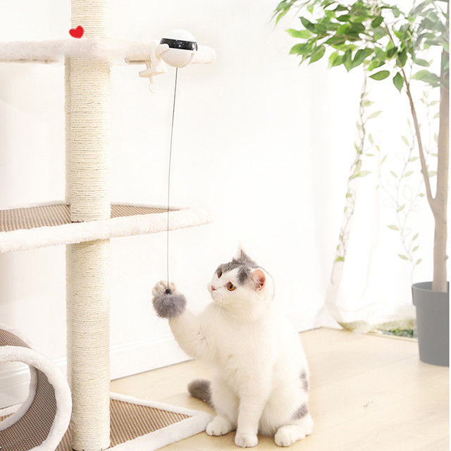 相互電子自動上昇の球猫ペットはおかしい棒猫のティーザーおもちゃをもてあそぶ