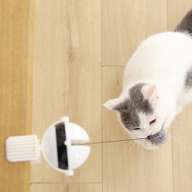 相互電子自動上昇の球猫ペットはおかしい棒猫のティーザーおもちゃをもてあそぶ