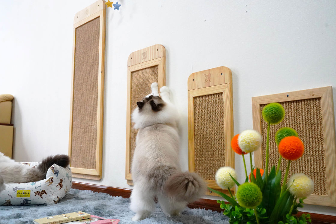 耐久のサイザルアサ壁に取り付けられた猫のScratcherのポストの場所の床40*30cm 30*76cm 40*120cm