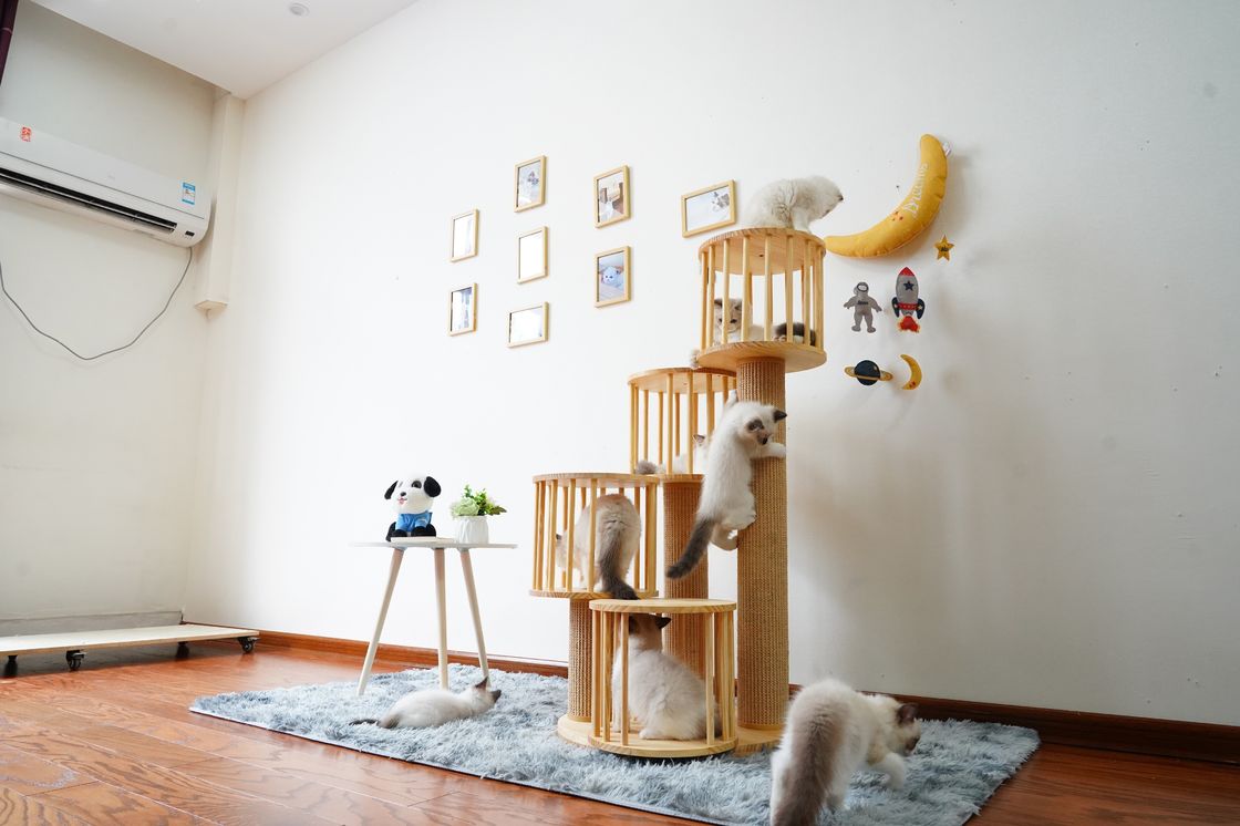耐久の家の子ネコ猫のポストの負傷を用いる上昇の木タワーのコンドミニアム