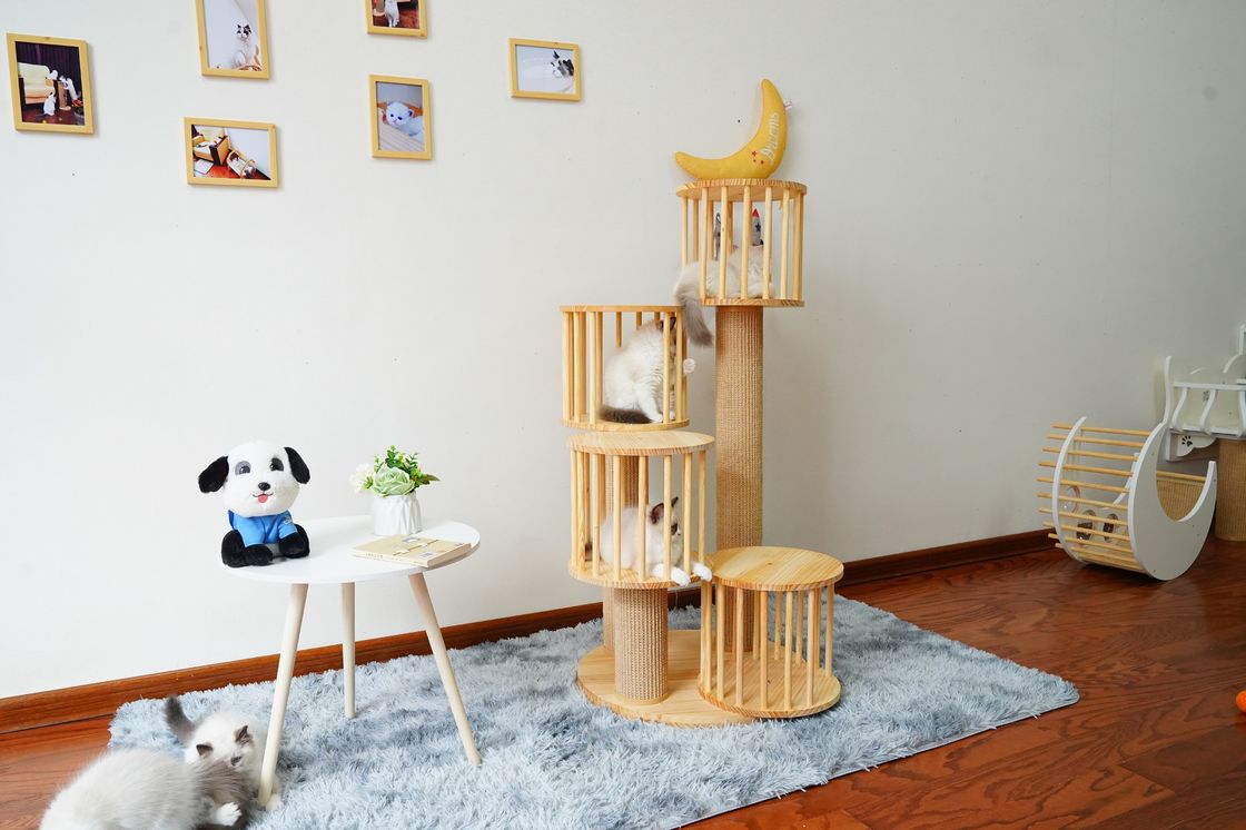 耐久の家の子ネコ猫のポストの負傷を用いる上昇の木タワーのコンドミニアム