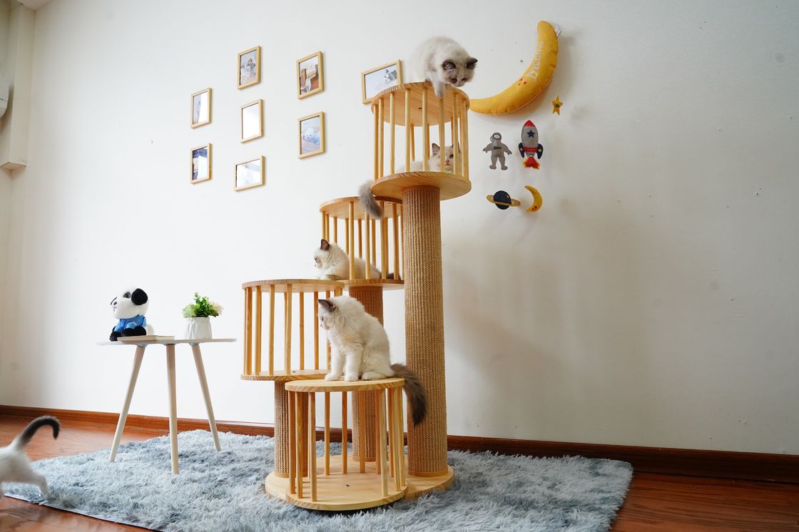 耐久の家の子ネコ猫のポストの負傷を用いる上昇の木タワーのコンドミニアム