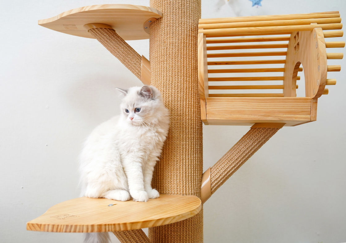 123cmの大きい純木猫のポストの負傷を用いる上昇の木猫の活動タワー
