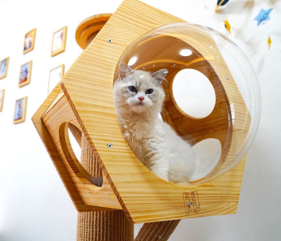 宇宙カプセルが付いている贅沢な六角形木ペット ベッドの洞窟猫の上昇タワー