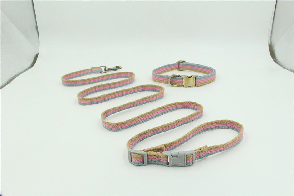 鎖が刻まれたウェビングつばの牽引ロープである場合もあるナイロン歪んだロープ ペットは飼い犬の鎖セットを置いた
