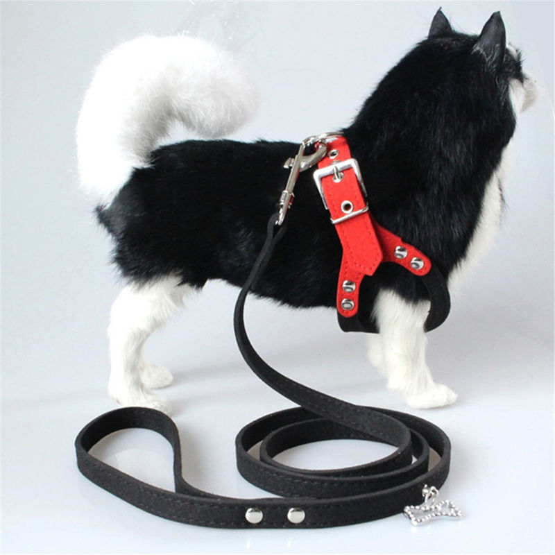 Hallupets柔らかい網によってパッドを入れられるつばの鎖の馬具セット犬の箱および背部牽引