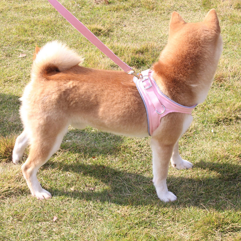 新しいスエード耐圧防爆反射赤い犬の鎖のベスト