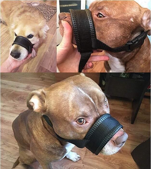 ナイロン犬の口輪つばの鎖の馬具は柔らかいパッドを入れられた犬の口カバー反かみ傷を置いた