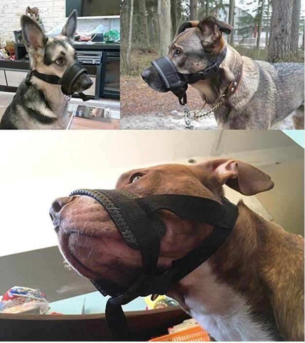 ナイロン犬の口輪つばの鎖の馬具は柔らかいパッドを入れられた犬の口カバー反かみ傷を置いた