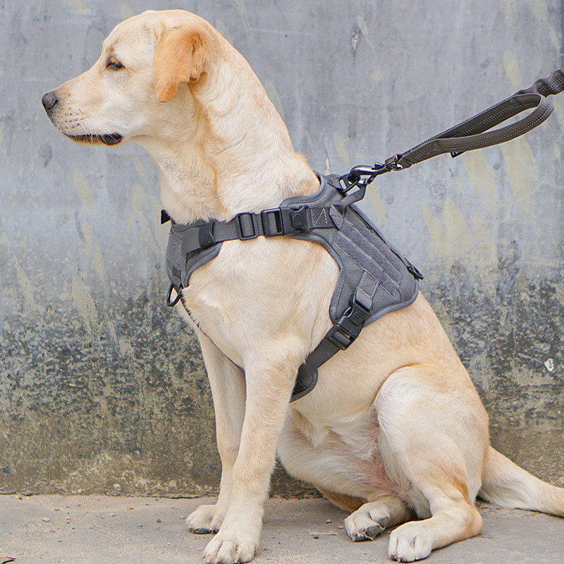 サービス及び訓練の軍犬のベストのための戦術的なバックルODM Molleの安全の戦術的な軍のベスト犬の馬具