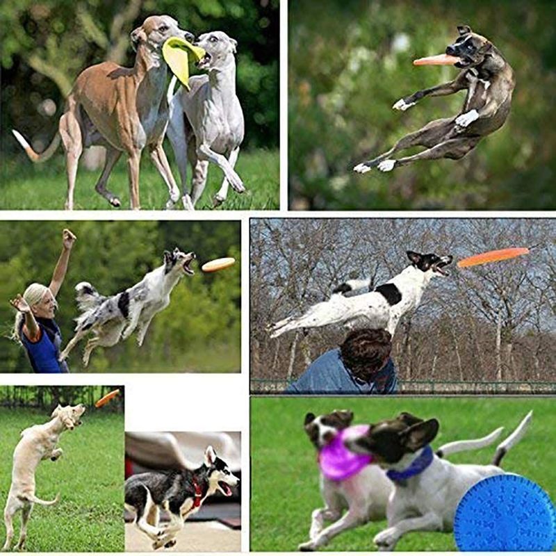 ケイ酸ゲル屋外犬の飛行ディスク犬の策略の訓練のおもちゃ