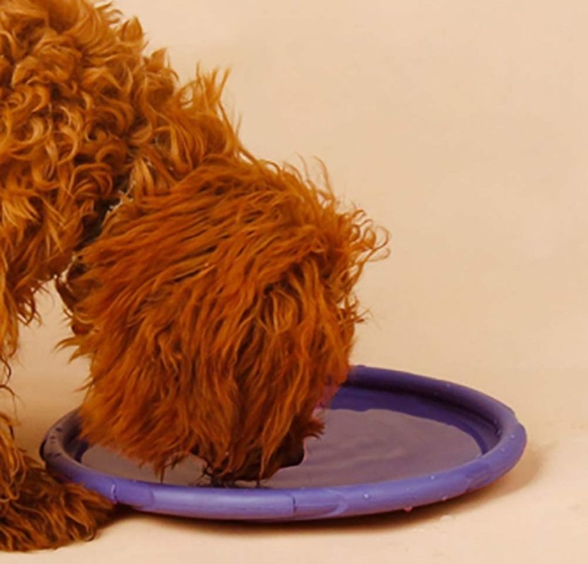 ケイ酸ゲル屋外犬の飛行ディスク犬の策略の訓練のおもちゃ