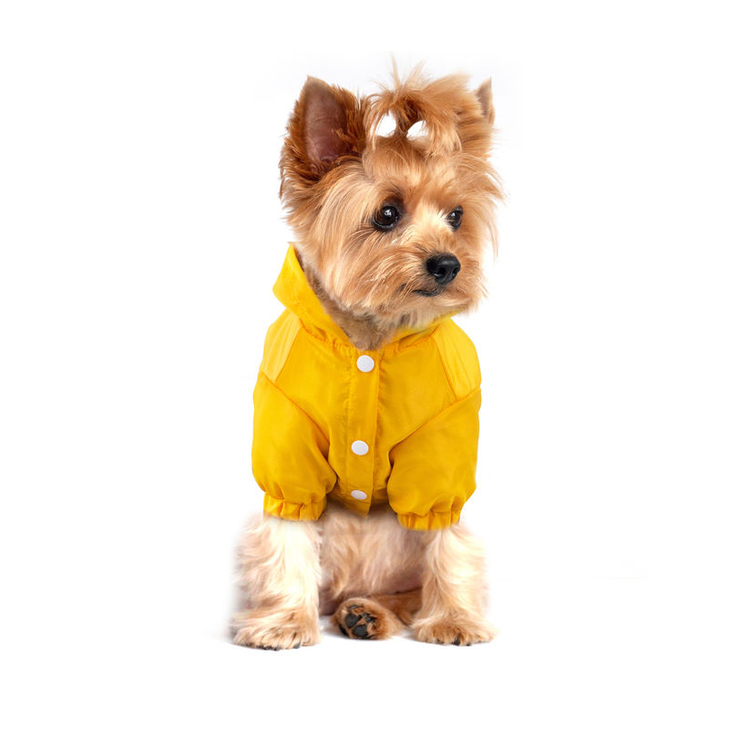 屋外の反射ペット レインコート犬のための貯蔵袋が付いている独特で明るい雨ジャケット
