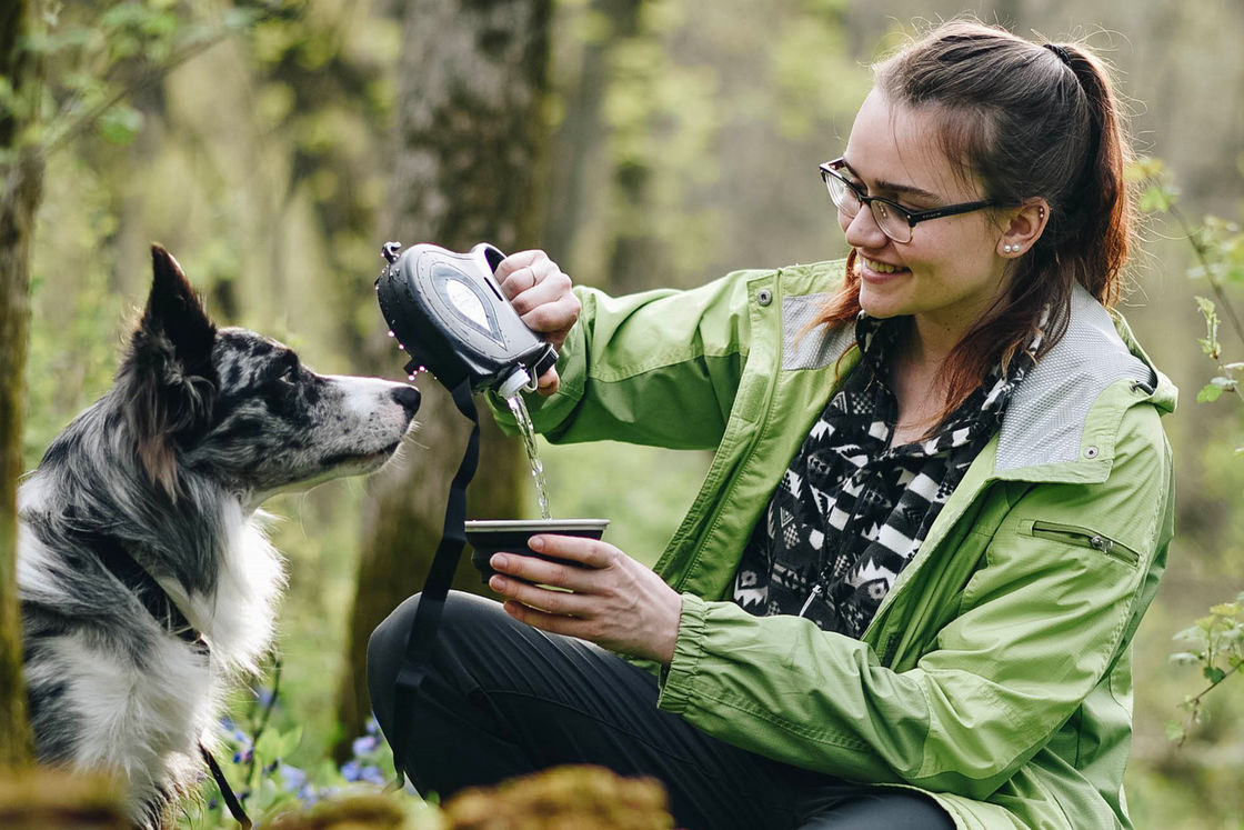 ボールのごみ袋ディスペンサーが付いている1つのナイロン犬の鎖の水差しに付き多機能の5つ