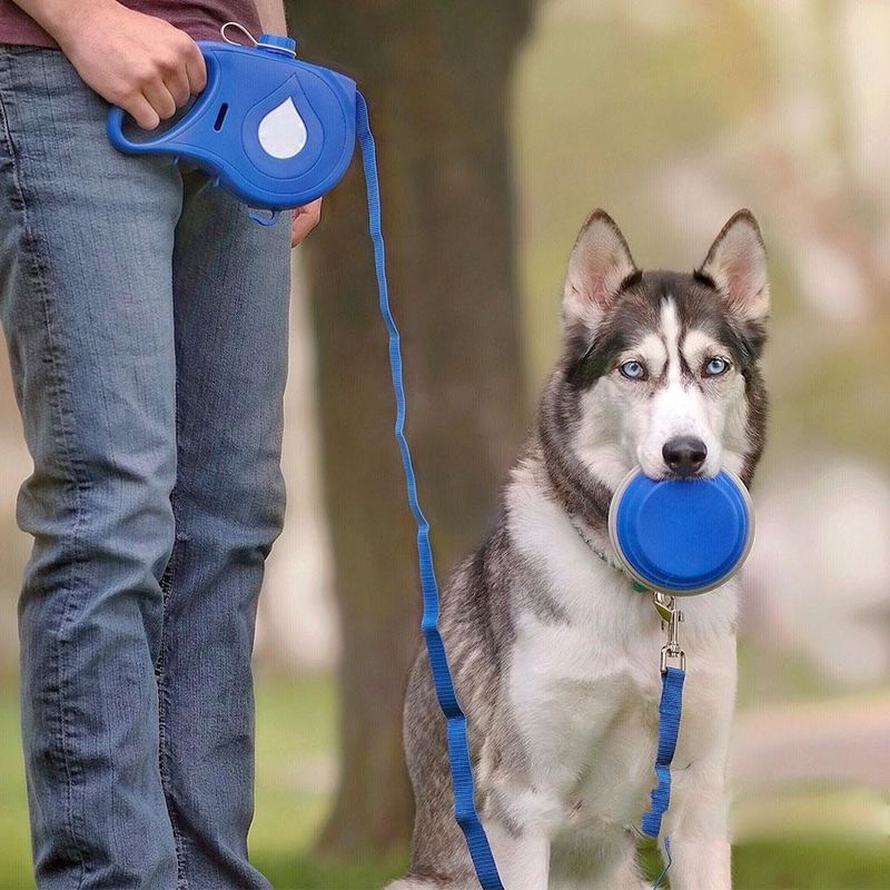 5つ折りたたみボール犬の船尾袋ディスペンサーが付いている1つのナイロン犬の鎖携帯用犬の水差しに付き