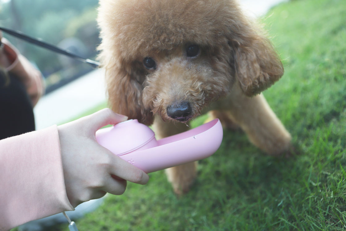 ピンクの折り畳み式犬の水差しディスペンサー小さい犬小型携帯用ペットやかん