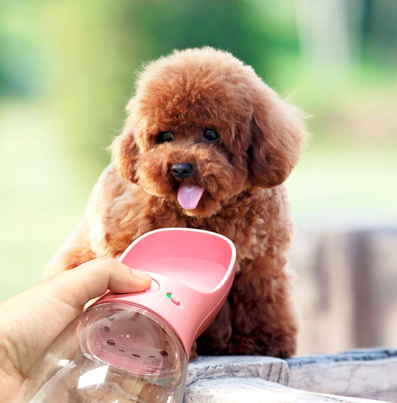 12-20OZ飲み物のコップ歩くことのための携帯用折り畳み式犬の水差し
