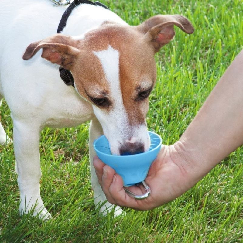 取り外し可能な屋外のシリコーン犬の水差しおよびボール400のMlペット飲むびん