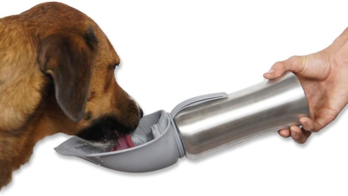ステンレス製旅行ボール42oz/1200mLの上のシリコーン フリップの湯たんぽを飼い犬